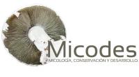Jornada de cierre del proyecto MICODES
